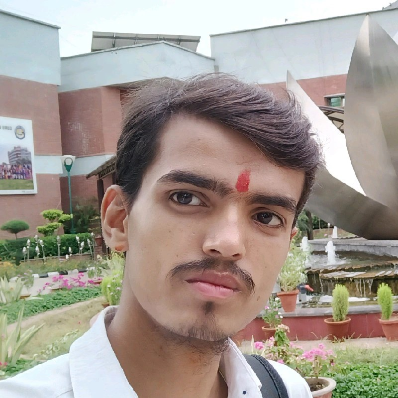 Portrait of Himanshu Pathak